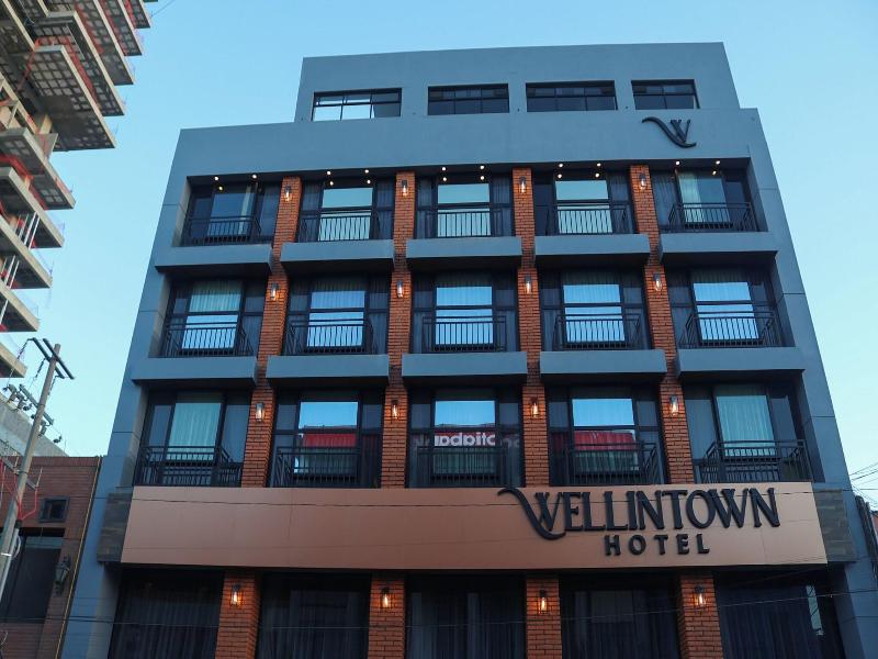 Hotel Wellintown image