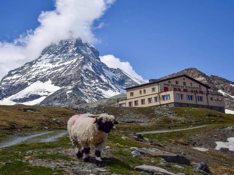 Hotel Schwarzsee image