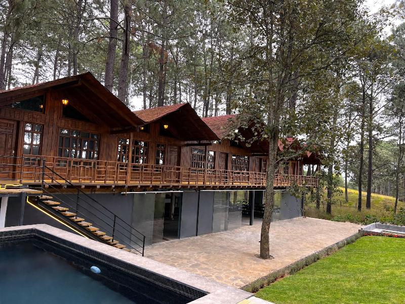Pine Tree Hotel Boutique Cabaa As — general view