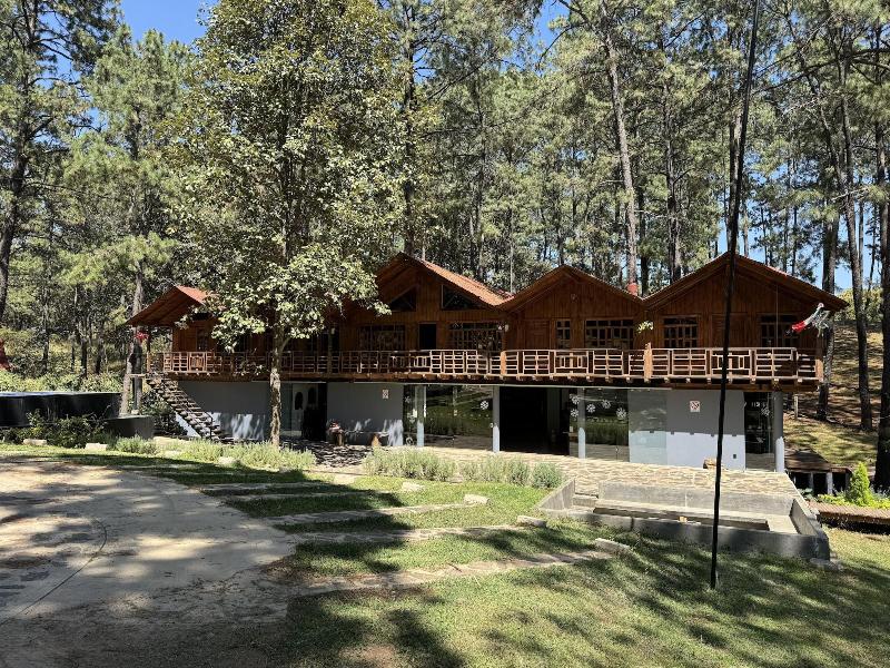 Pine Tree Hotel Boutique Cabaa As — general view