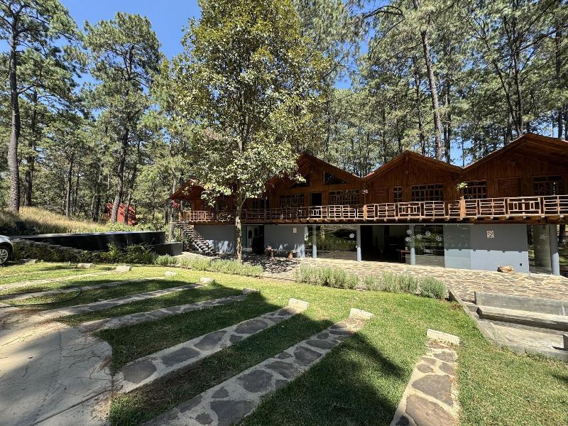 Pine Tree Hotel Boutique Cabaa As — general view