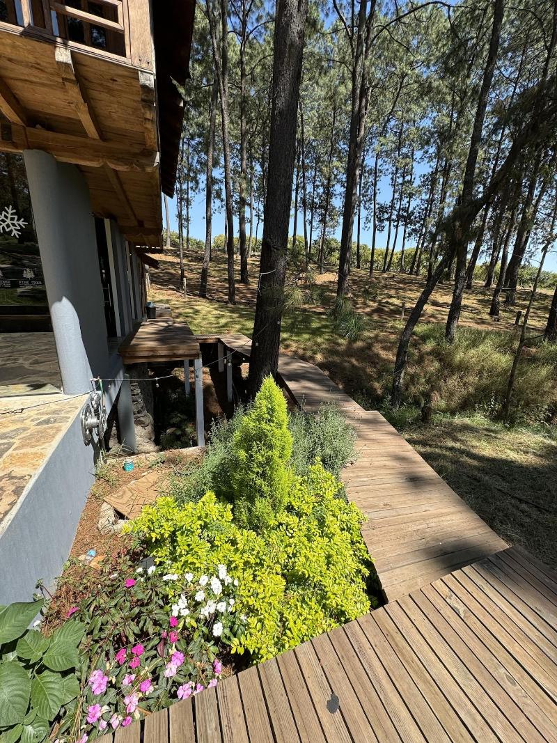 Pine Tree Hotel Boutique Cabaa As