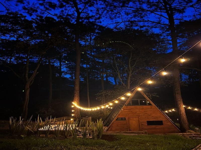 Pine Tree Hotel Boutique Cabaa As