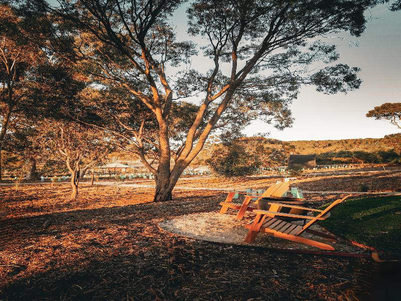 Cabn X Seppeltsfield Barossa image