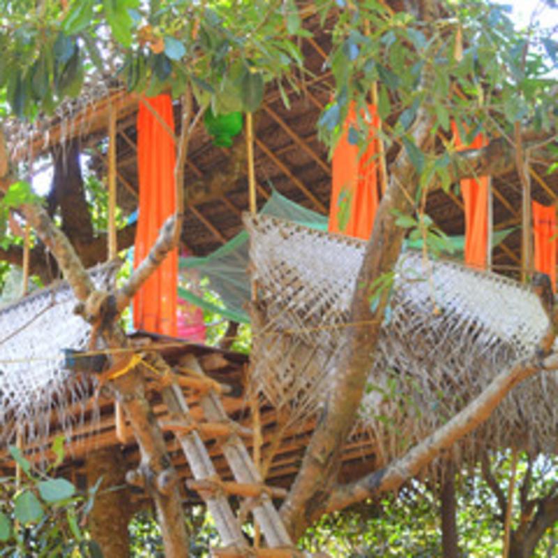 Namaste Yoga Farm image