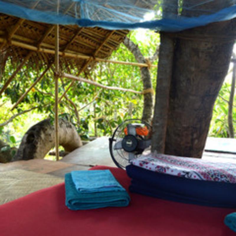 Namaste Yoga Farm image
