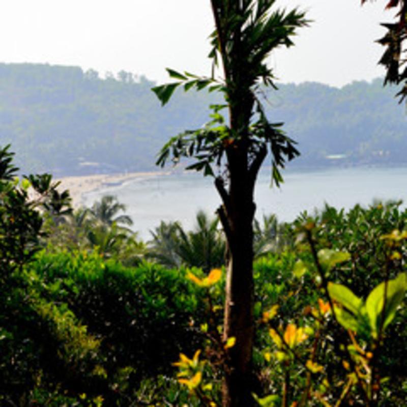 Namaste Yoga Farm image