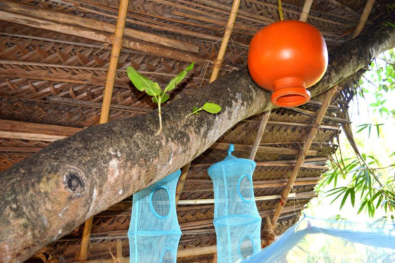 Namaste Yoga Farm image