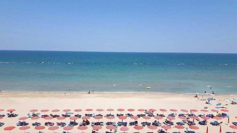 Gfh - Hotel Spiaggia D'oro image