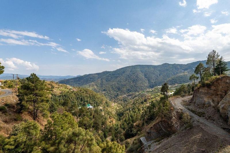 The Chail Resort image