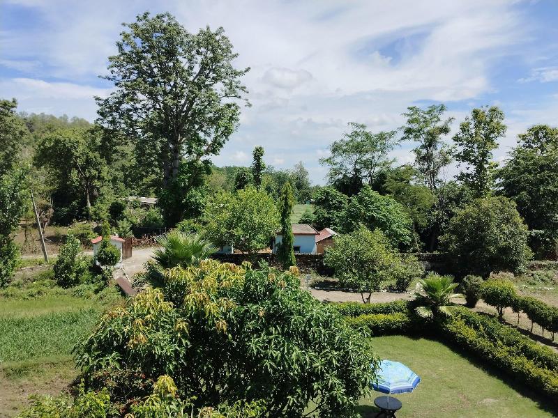 Jungle Corbett Castle