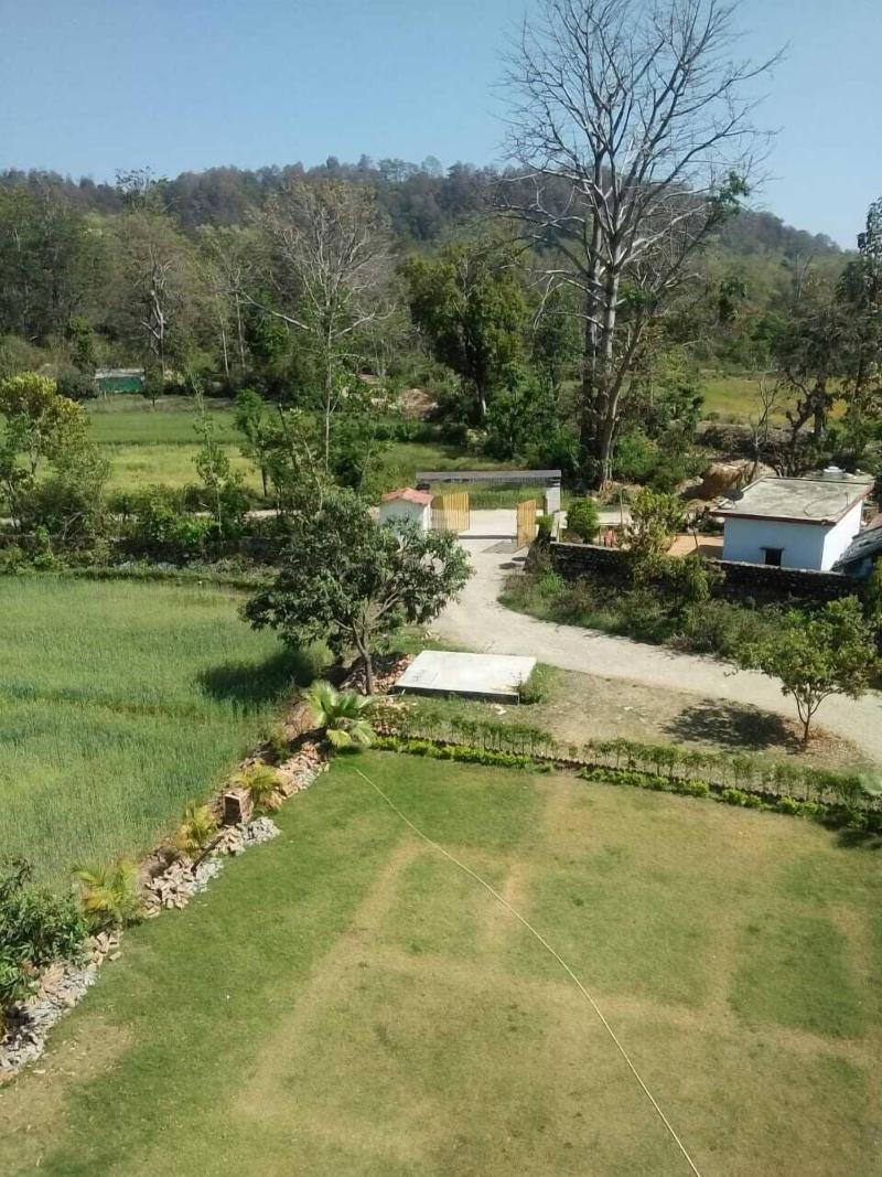 Jungle Corbett Castle — photo 40