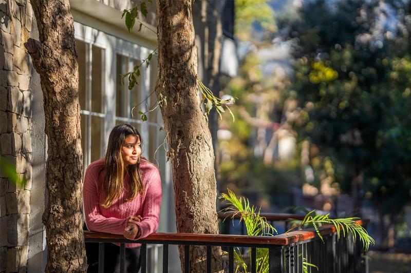 Moustache Bhimtal Luxuria, Nainital image