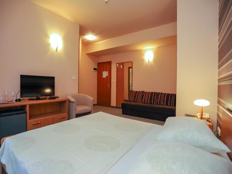 Hotel Neva image