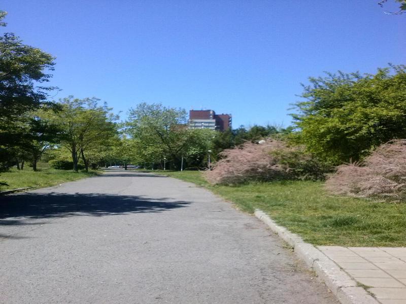 Hotel Park image