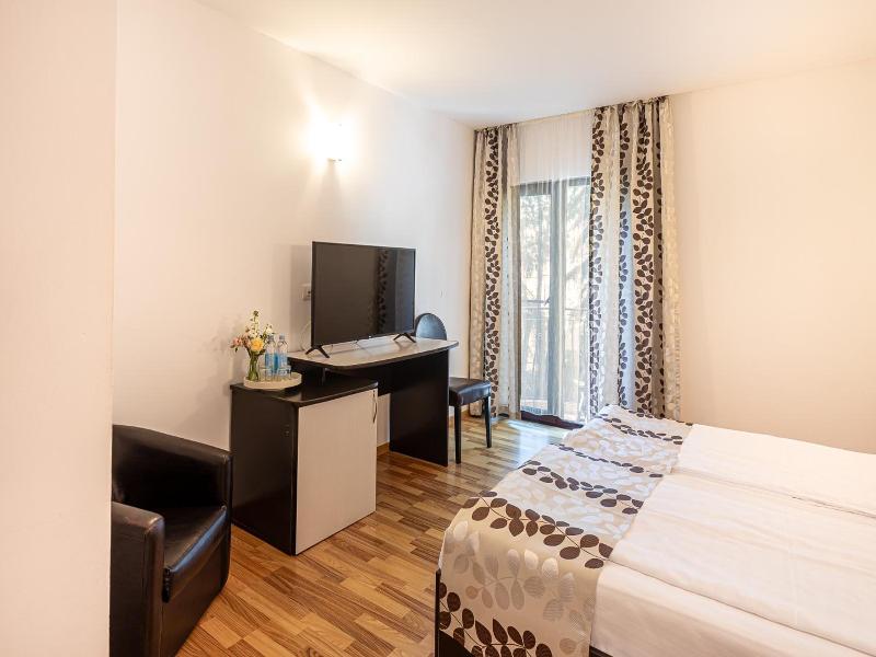 Hotel Anina