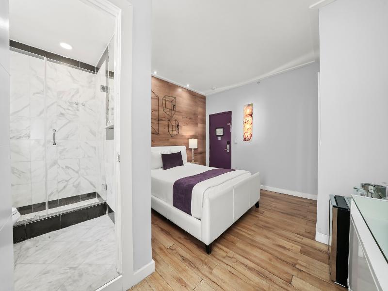 Hotel Shelley image