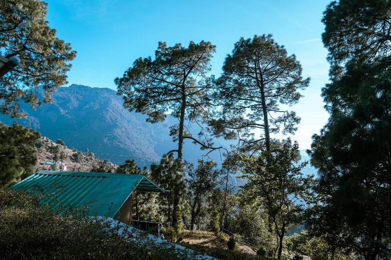 The Cocoon Camps & Nature Resorts
