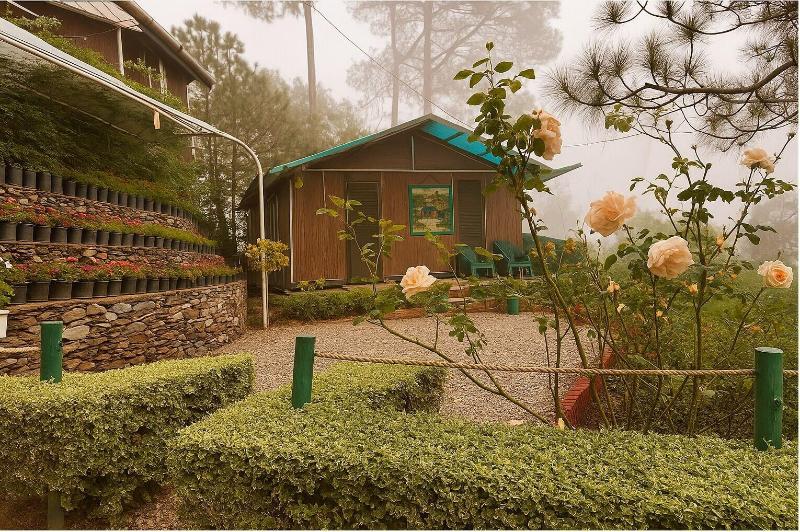 The Cocoon Camps & Nature Resorts