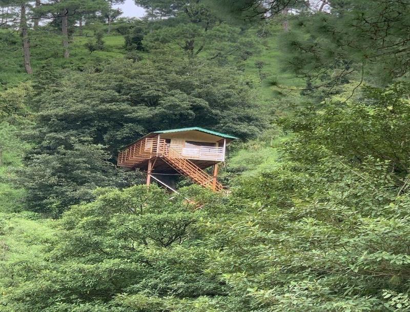 The Cocoon Camps & Nature Resorts — photo 52