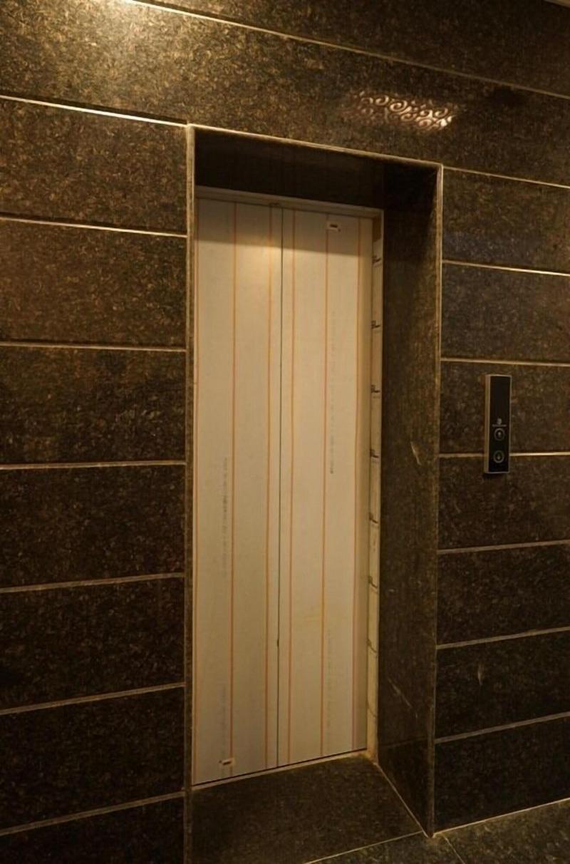 Hotel Alishaan image