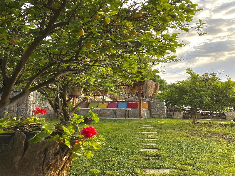 Faralya Misafir Evi image