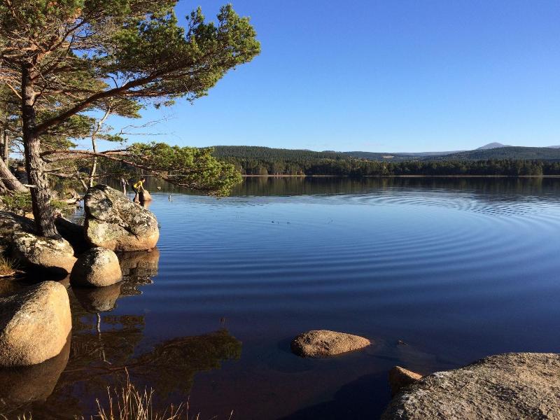 The Dell Of Abernethy image