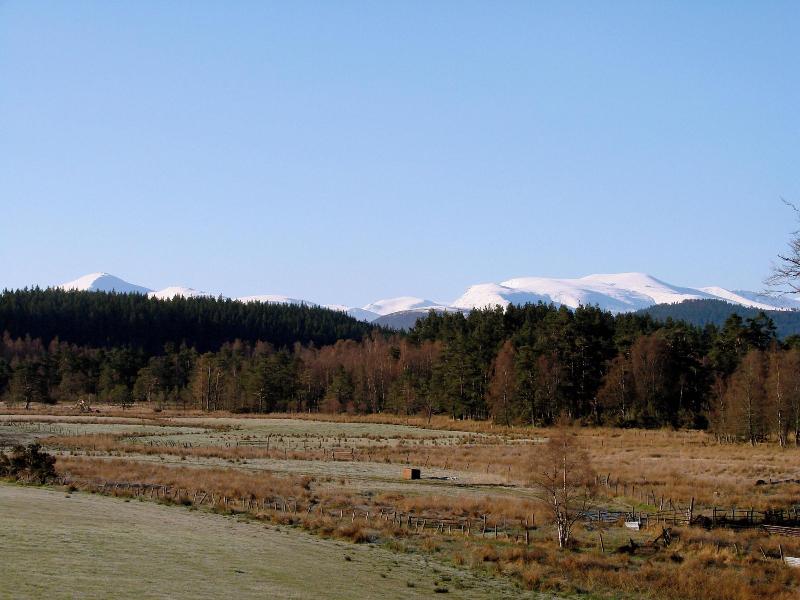 The Dell Of Abernethy image