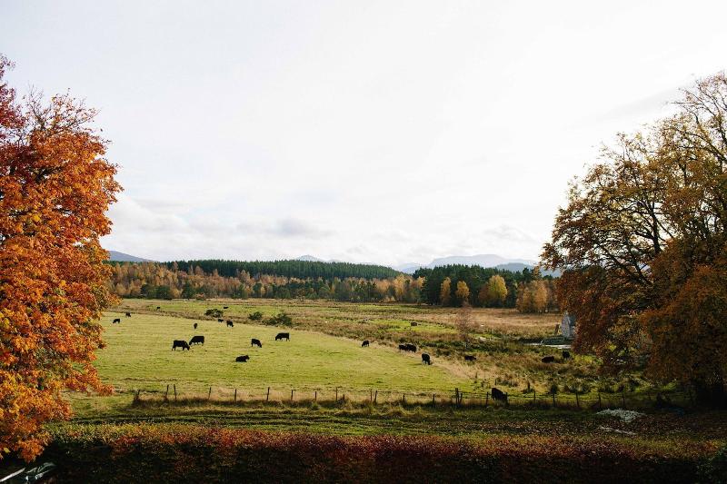 The Dell Of Abernethy image