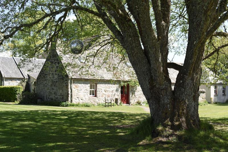 The Dell Of Abernethy image