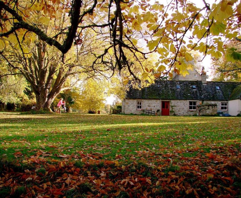 The Dell Of Abernethy image