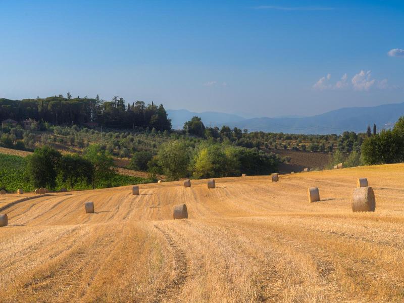 Poste Del Chiugi image