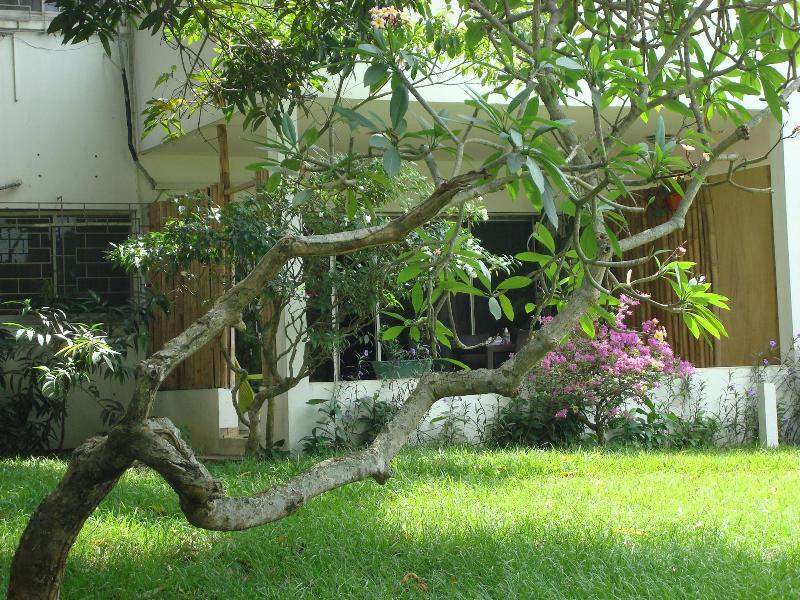 Villa Mango image
