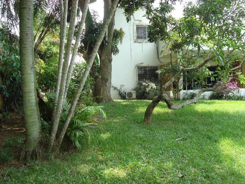Villa Mango image