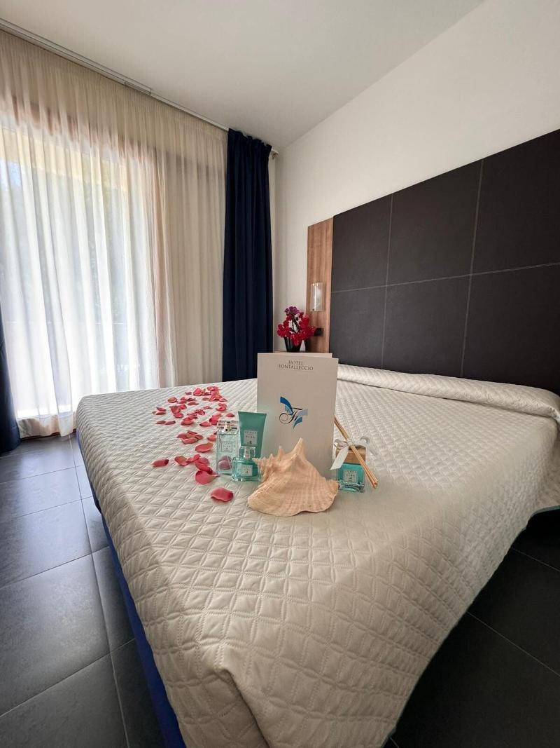 Hotel Fontalleccio image