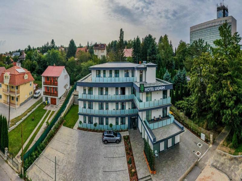 Lignum Hotel image