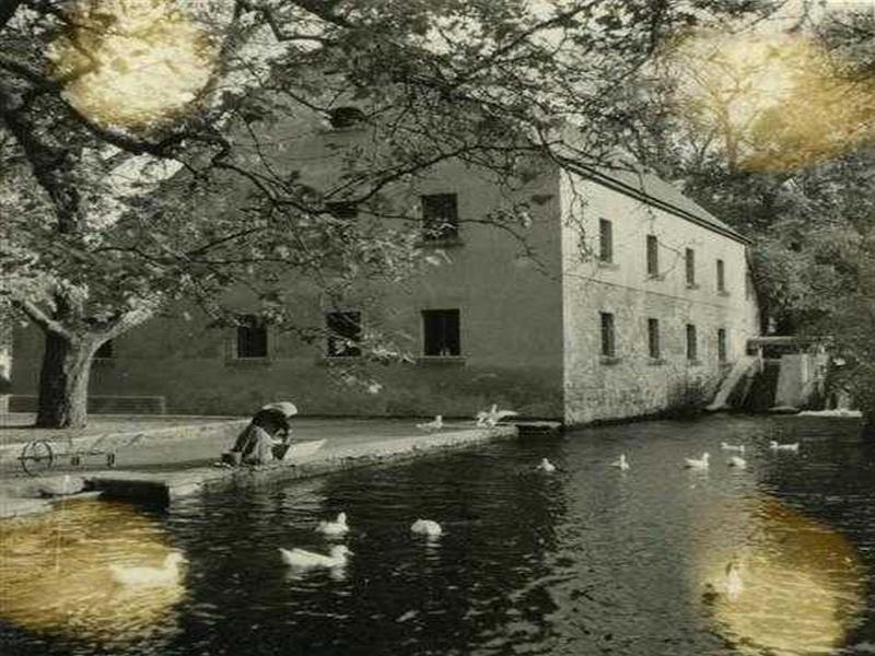 Hotel Arnold image