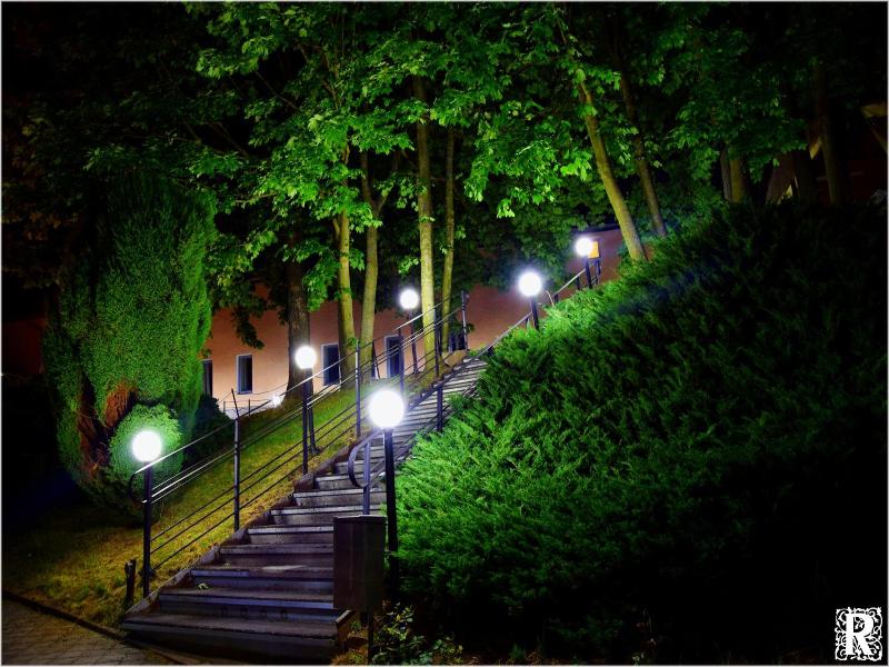 Hotel Rustikal image