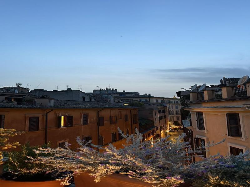 Hisuiterome image