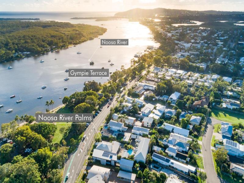 Noosa River Palms image