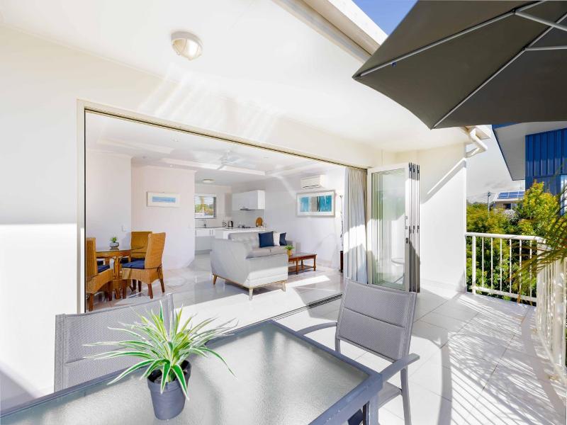 Noosa River Palms image
