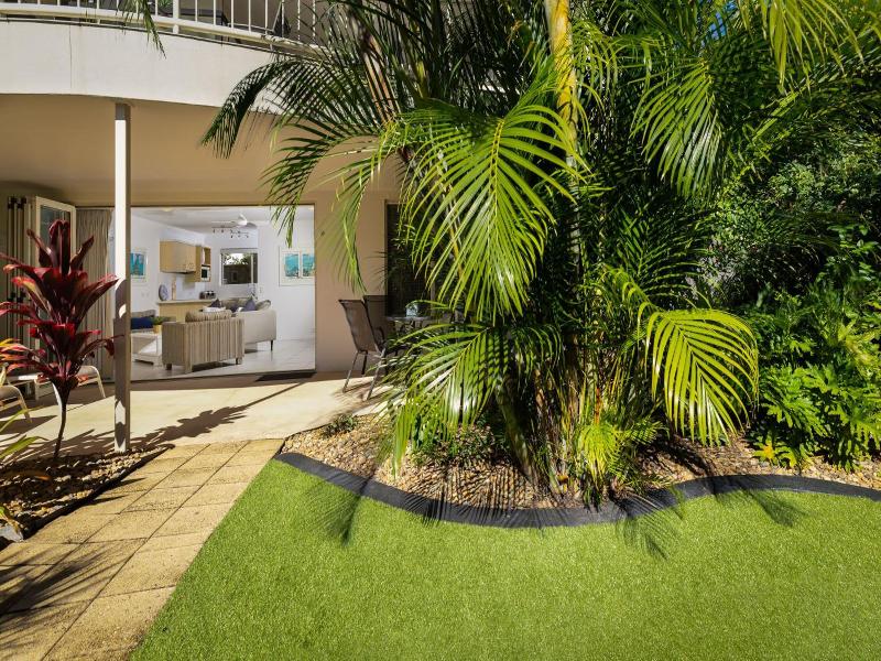 Noosa River Palms image
