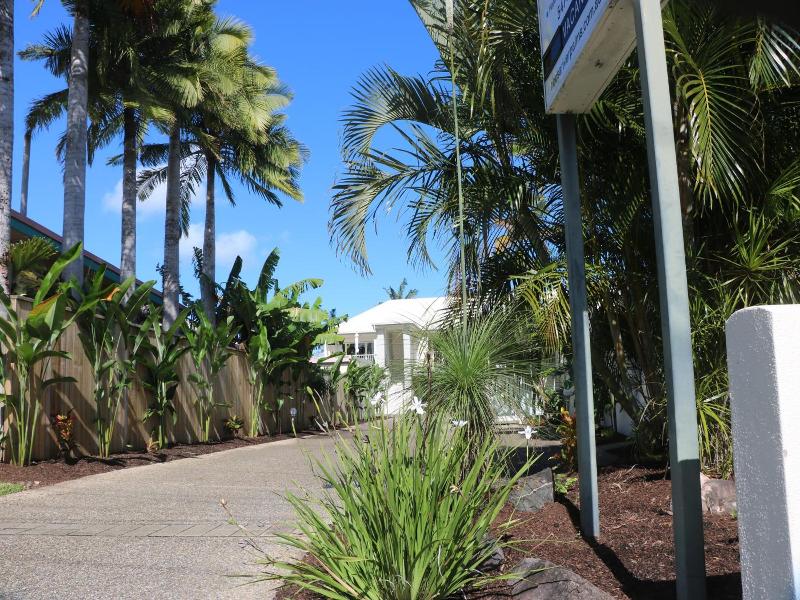 Noosa River Palms image
