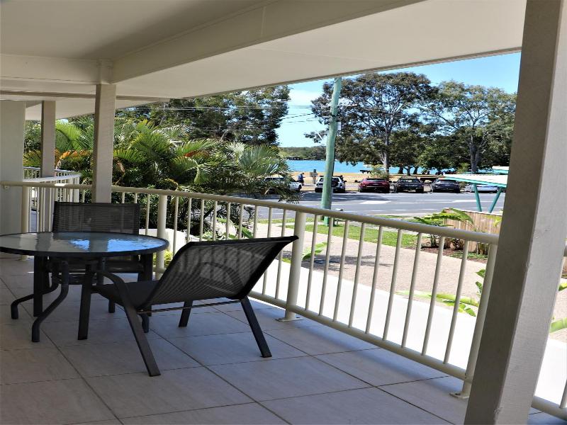 Noosa River Palms image