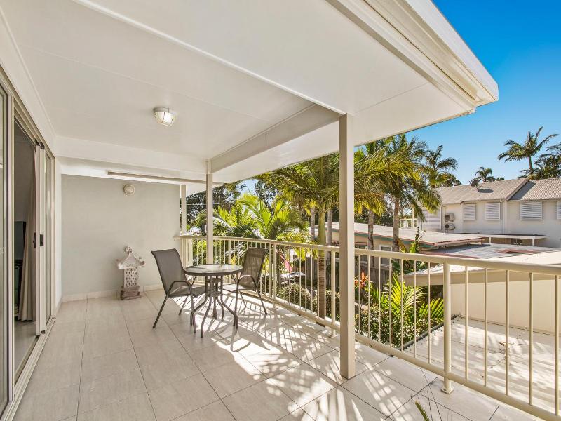 Noosa River Palms image
