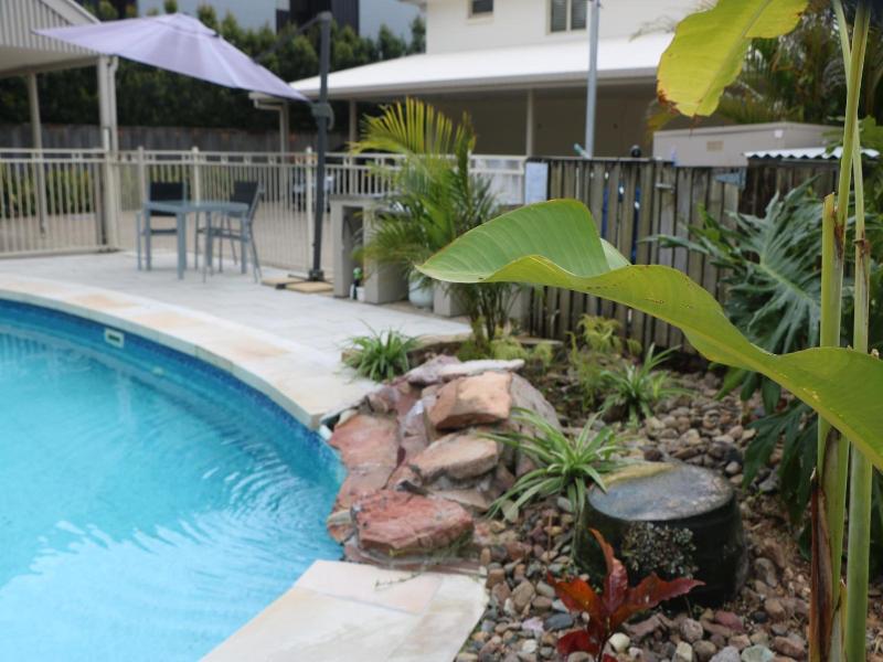 Noosa River Palms image