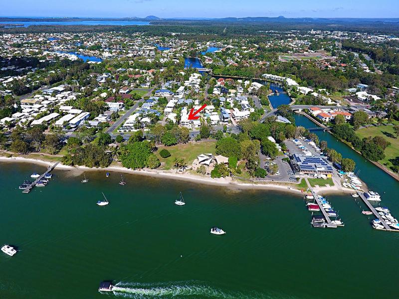 Noosa River Palms image