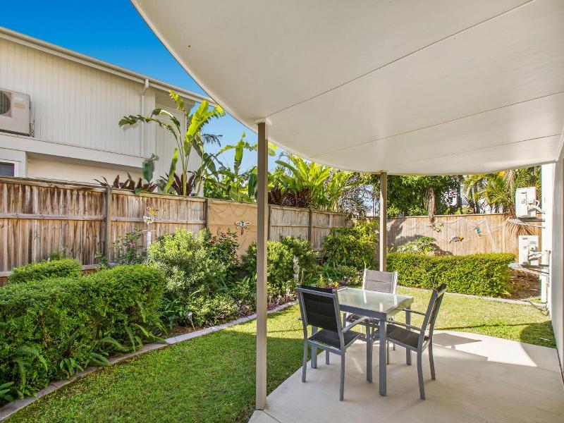 Noosa River Palms image