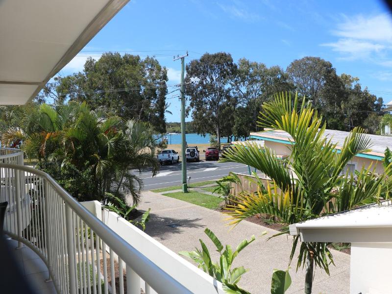 Noosa River Palms image