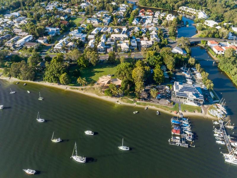 Noosa River Palms image